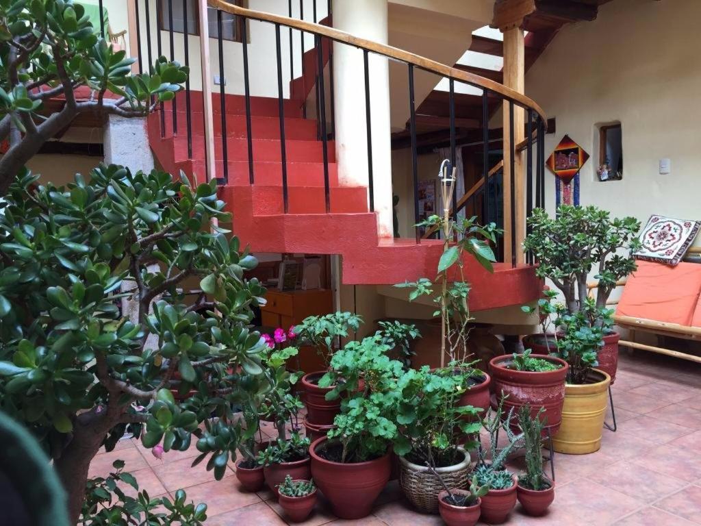 Casona Les Pleiades Bed and Breakfast Cuzco Buitenkant foto
